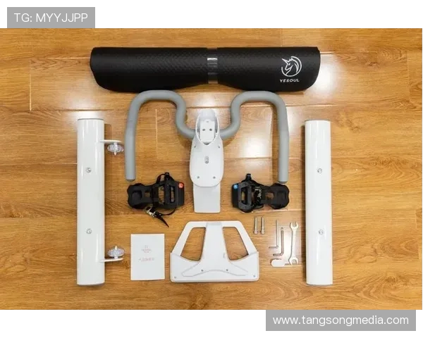 南京极限运动队战术分析与控制打法深度解读